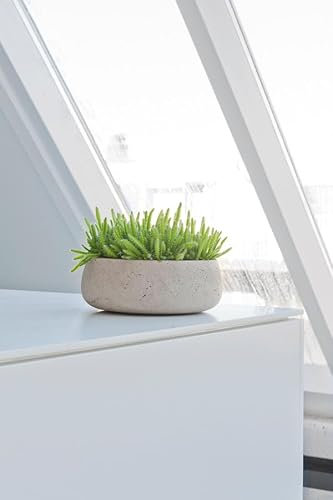 Finestgreen Eileen Pflanzschale Grau L | Blumenschale für Innen- und Außenbereich, Frostfest, UV-Beständig, wasserdicht