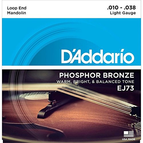 D'addario EJ73 Phosphor Bronze Mandolin Strings 10-38, Light