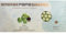 Confetti Papa Perle Cioccolato al Latte 500g | Piccole delizie confettate dal Cuore di Cioccolato al Latte Cereale ricoperto (Pistacchio Verde)