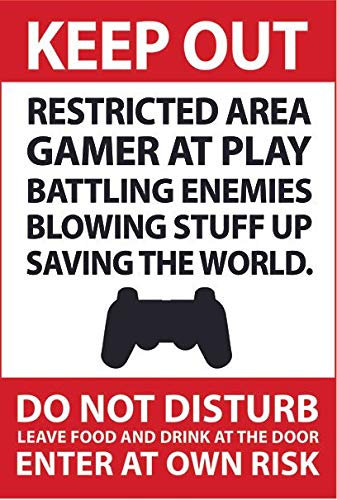 Gaming Poster, Keep Out, Restricted Gamer at play, teenagers room warning quote A3 poster art print