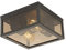 Qazqa - Modern Außen Deckenleuchte I Deckenlampe I Lampe I Leuchte schwarz mit Rauchglas 2-flammig IP44 - Charlois I Außenbeleuchtung - Aluminium Quadratisch - LED geeignet E27