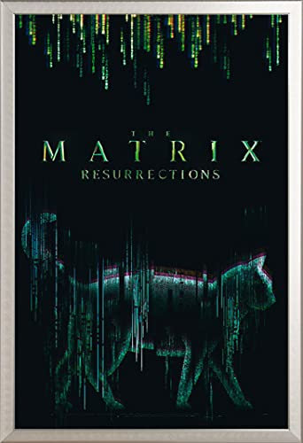 Matrix - Cat - Druck Plakat Film Poster - Größe 61x91,5 cm + Wechselrahmen, Shinsuke® Maxi Aluminium Silber, Acryl-Scheibe