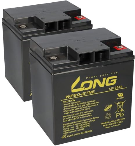 AGM Batterie 2X 12V 30Ah Kompatibel Zu Jungheinrich 51430288 - Langlebig - Wartungsfrei - Zuverlässig - Ersatzakku - Akku - Batterie - Stromversorgung