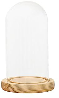 NeaxgeandX Dôme en verre transparent avec base en bois pour décoration de rangement 12 x 25 cm