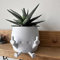 EHOTER Pot de fleurs souriant avec doigts du milieu vers le haut - Pot de fleurs fantaisie pour plantes grasses - Pot de fleurs pour les amateurs de plantes - Pot de fleurs amusant en résine pour