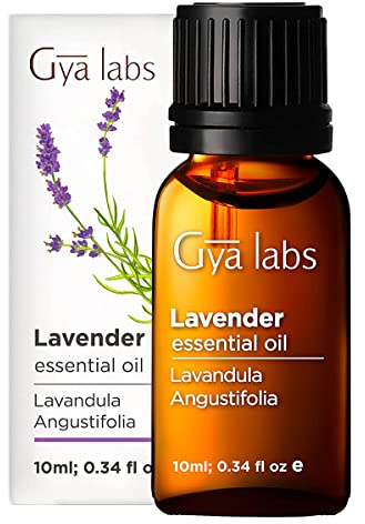 Gya Labs Lavendelöl, ätherisches Öl für Diffusor – natürliches Lavendelöl, ätherische Öle für Haut – Haare, Massagen – süßer Kräuterduft – 100% natürlich – (10 ml)