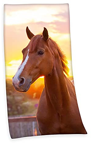 Klaus Herding GmbH Velourstuch Duschtuch Badetuch Strandtuch mit Pferd 75 x 150cm
