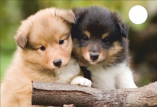 HUBDECO Schutzunterlage für den Schreibtisch - Schützt Schreibtisch vor Kratzern und Schäden - mit Kabeldurchlass - Mauspad, Pflegeleicht, Wasserfest - 73x50cm - Für Kinder Hunde