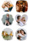 ACBungji 6er Personalisierte Foto Magnet Bilderrahmen Fotorahmen Magnete selbst gestalten Fotomagnete Kühlschrankmagnete DIY Dekorative für Kühlschrank Magnettafel Whiteboard Pinnwand