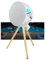 Enceinte Portable Muse ML-655 BT, 100W, sur Batterie, Bluetooth, LED Color -IPX4, Resistance aux Projections d'eau, Light DIAMS