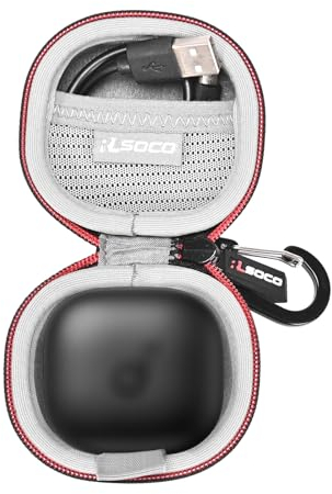 RLSOCO Carrying Case for Anker soundcore P40i Wireless Earbuds (Black)