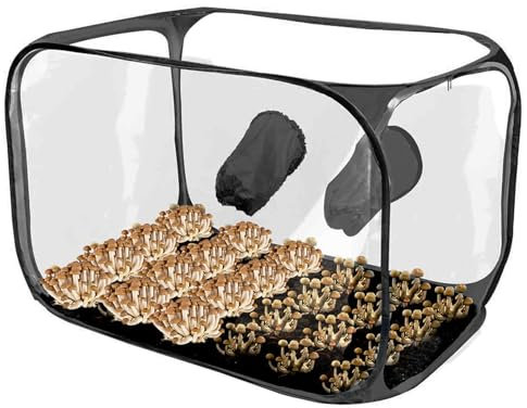 Still Air Box Pilz | Pflanzsack Pilzzelt Anzuchtstationen | Pilzzelt Kit Luftbox | Gartenbaubedarf Grow Bags Pilzzucht für Erwachsene, Kinder