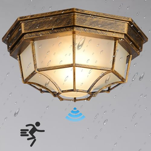 LED Retro Deckenlampe mit Bewegungsmelder,Wasserdichte IP54 Deckenleuchte aus Aluminium,Industrie Loft Rustikale Flurlampe,Antik Deckenbeleuchtung Außenlampe Decke Carport Überdachung Terrasse