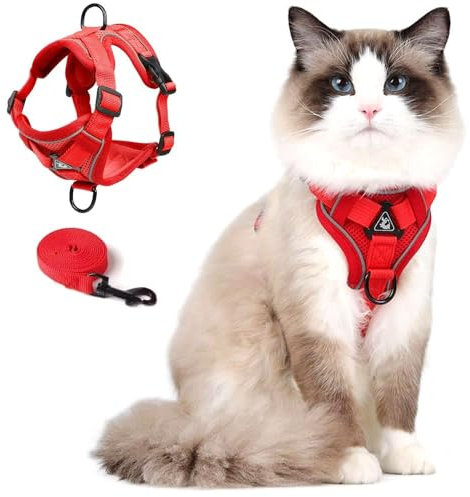 Cat Harness and Leash Set Katzengeschirr mit Leinen für Kätzchen, Katzengurt Ausbruchsichere Verstellbare Weste mit Leine für Kleine Katzen im Freien, Netzjacke mit Reflektierenden Streifen (S, Rot)