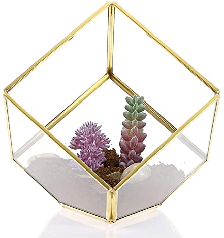 SUMTree Gold Glas Terrarium Geometrisches Gewächshaus Dekorative Pflanzenbehälter für Luftpflanzen, Sukkulenten, Moos, Farn, Kaffeepad/Teebeutelhalter, Miniatur-Feengartenbehälter, Würfel