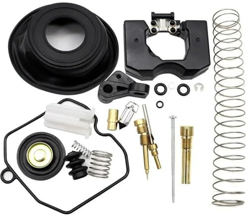 JAYWIS Kit di Riparazione del Carburatore per Motocicletta per Harley CV40 Sportster 883 1200 XL883 XLH1200 Guarnizione Galleggiante del Carburatore Riparazione carburatore Kit