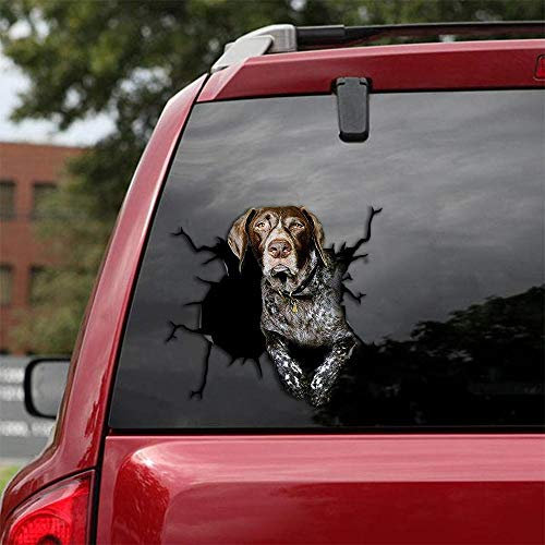 Ocean Gift Deutsch Kurzhaar Auto Aufkleber, Hund Auto Aufkleber 2 Stück - Realistische Deutsch Kurzhaar Aufkleber für Autofenster, Wände Serie 70 Größe 20,3 x 20,3 cm