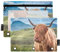 Binder Pencil Pouch 3 Ring Zipper Clear Window Pen Case Big Capacity Cosmetic Bag Storage Container for Storing Office Supplies 2 Pack Furry Highland Cow Isle Skye Scotland