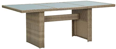 ShCuShan Garten-Esstisch Terrassentisch Dining Table Tisch Outdoor GartenmöBel Gartentisch Wetterfest Braun 200x100x74 cm Glas und Poly Rattan 310142