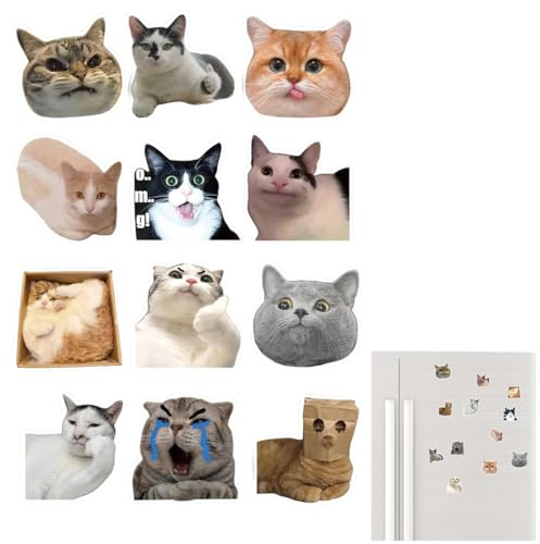 PBAHAUP 12 Stück Kühlschrankmagnete mit Lustigen Katzen-Memes, Witzige und Dekorative Fridge Magnets als Perfekte Geschenkidee für Katzenliebhaber, Küche, Büro oder Studentenzimmer