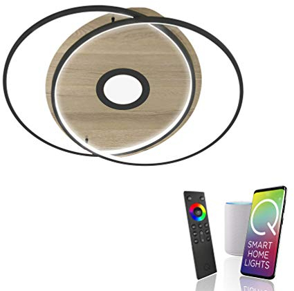 Paul Neuhaus Q-AMIRA 8381-78 LED Deckenleuchte, Alexa kompatibel Smart Home, dimmbar per Fernbedienung, warmweiß - kaltweiss