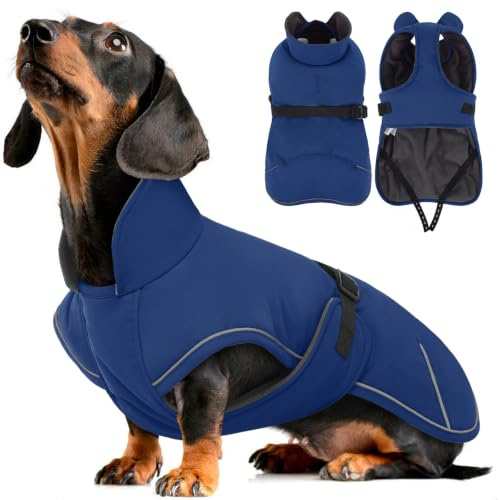 Hjyokuso Hundemantel Dackel L, Winddichter Wasserdichter Wintermantel Für Dackel Hunde, Hundejacke Für Große Hunde, Hundemantel Winter Mit Bauchschutz Leinenloch, Winterjacken Für Hunde - Blau