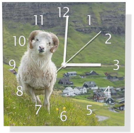 Wallario Design Wanduhr Wildes Schaf in der Natur aus Aluverbund, Alu-Uhr Größe 30 x 30 cm, weiße Zeiger mit Metalloptik