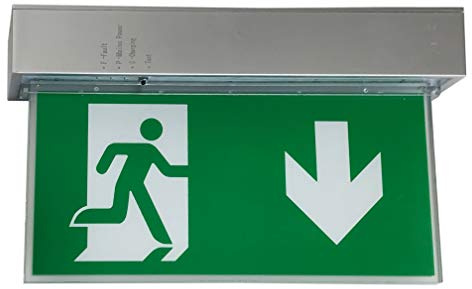 LeuchTek LED Rettungszeichenleuchte Notausgangsleuchte Fluchtweg 4 Piktogramme wechselbar, Silber, Grün, One Size, RZ-3W-A