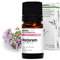 Aroma Labs - Marjolaine à Coquilles BIO - Huile Essentielle Chémotypée et Certifiée AB - 5 mL