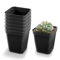 DOITOOL Godet pour Semis Noir 50Pcs - Carré Pots de Plantes en Plastique-Petit Pot de Fleur Interieur Exterieur (Noir/ 6x6x6.5cm)