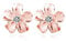 Reffeer 925 Sterling Silber Plumeria-Blumen-Ohrringe für Damen, Blumen-Ohrstecker, hübsche Ohrringe (C-Rose Gold Plated)