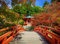 VLIES Fototapete-GARTEN-(642Pr)-500x280 cm-Foto-Kunst Japan Brücke Bäume Holz Natur See Landschaft Panorama Wandtapete Bildtapete