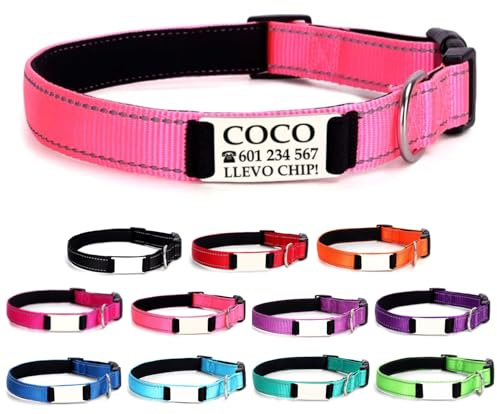 Ibera gifts - Collar Perro Personalizado con Nombre para Mascotas Pequeñas, Reflectante, Ajustable De 25 a 40 cm, Grabado Láser, Seguro y Cómodo (Rosa, S pequeño)