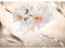Runa Art Fototapete Blumen Lilien Modern Vlies Wohnzimmer Schlafzimmer - Made in Germany - 308 x 220 cm Beige 9355010c