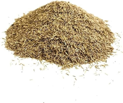 Front Lawn Grass Seed 750g Ryegrass Free Fine (Covers 15 Square metres) MDH