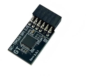 Zahara TPM 2.0 SPI Modul 12 Pin mit Infineon SLB9670 Upgrade auf Windows 11 für Gigabyte Motherboard Z790 D Z790 D AX Z790 UD AX Z790 S DDR4 Z790 Eagle Z790M AORUS AX Elite Ice