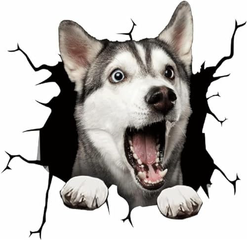 Auto-Riss-Aufkleber, Haustier-Aufkleber, realistische Tier-lustige statische Aufkleber, langlebige 3D-Türdekoration, Simulations-Husky-Glas, Merchandise-Abziehbilder und Aufkleber
