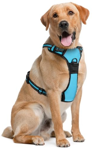 Dog Harness for Medium Dogs - Medium, Blue - Soft Padded & Adjustable No Pull Design Pet Harness for Running, Hiking & Training - with 2 Leash Clips + Reflective Strips - by EcoEarth