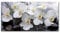 Tulup Glass Picture Wall Art - 100x50cm - Tempered Glass Decoration - Print for Living room Bedroom - Toughened Glass Image - Glass picture Wall Art - Orchid