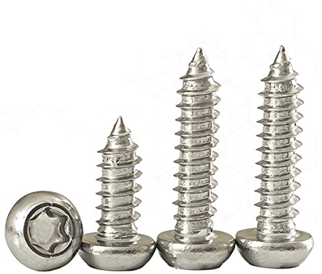 Qrity 100 STÜCKE M5x16mm Selbstschneidende Schraube, Torx Flachkopfschrauben, Edelstahl Rundkopf Selbstbohrende Schrauben