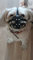 L&J Pets Uk, Maulkorb für Hund/Haustier, ideal für Möpse und andere Hunde mit kurzer Schnauze, Leder (M1, Schwarz)