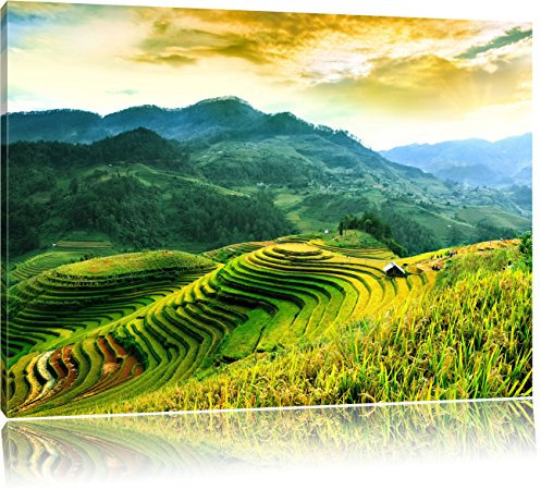 Pixxprint Reisfelder in Vietnam, Größe: 100x70cm, Leinwandbild, fertig gespannt, Wandbild, Dekoration, Kunstdruck, kein Poster