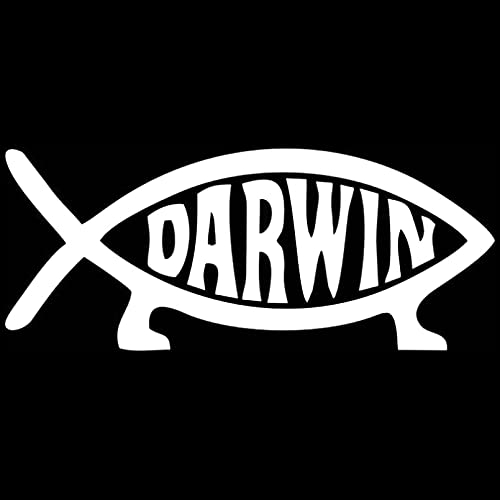 SCSHY Auto-Aufkleber Cartoon Darwin Fischfischen Auto Aufkleber Autos Motorräder Außenzubehör Vinyl Aufkleber