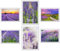 Set 6 cuadros base madera, Decoración Salón Modernos, Dormitorios, Habitación, paisaje, naturaleza, Campos Lavanda Brihuega con colgadores metálicos, (29 x 20 cm cada cuadro)