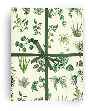 Houseplants Birthday Gift Wrap by Wrap and Revel—Plant Wrapping Paper Folded flat, 27 x 39 inches with House Plants
