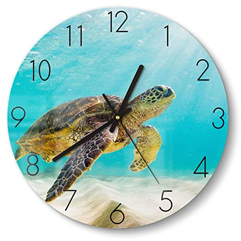 DEQORI Glasuhr | rund Ø 30 cm | Motiv Schildkröte unter Wasser | ausgefallene leise Design Uhr aus Glas | Wanduhr für Wohnzimmer & Küche | Moderne Hingucker Uhr für die Wand