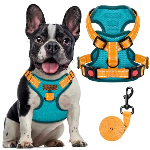FAYOGOO Hundegeschirr, Kein Choke Front Clip Hund Reflektierendes Geschirr, No-Pull Verstellbare Weiche Gepolsterte Haustier Weste Set für kleine Mittlere Große Hunde Gehen (Blau, L)