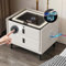 LED Bedside Table, Bedside Cabinet with Bluetooth Speaker & Wireless Charging Station, Smart Side Table with Fingerprint Lock Drawer, End Tables for Bedroom, Nightstand with 2 USB Port, Type-C
