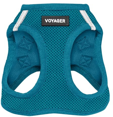 Voyager Step-In Air-Hundegeschirr – Allwetter-Mesh-Step-in-Weste für kleine und mittelgroße Hunde und Katzen von Best Pet Supplies – Geschirr (Türkis), XXS