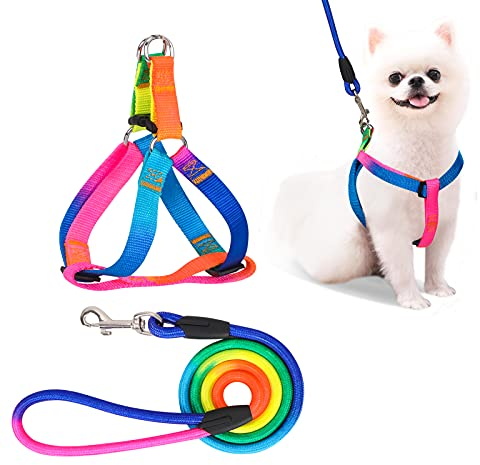 PetsHome Hundegeschirr & Leine, verstellbar, kein Ziehen, sicheres Nylon-Haustiergeschirr mit Leine für Spaziergänge im Freien, für kleine bis mittelgroße Hunde, Regenbogen